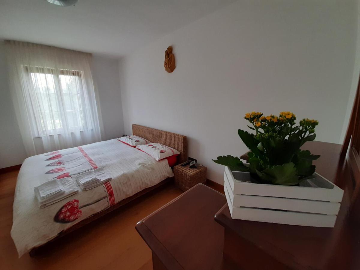 San Marcello Residence Фельтре Экстерьер фото
